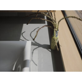 ALEXANDER ROSENKRANZ