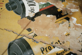 ALEXANDER ROSENKRANZ