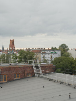 ALEXANDER ROSENKRANZ