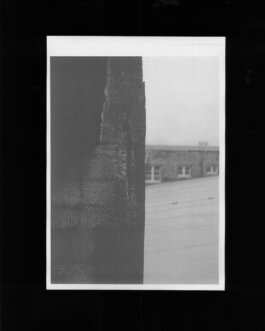 ALEXANDER ROSENKRANZ