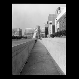 ALEXANDER ROSENKRANZ