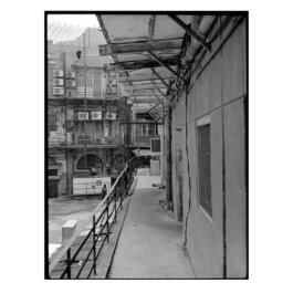 ALEXANDER ROSENKRANZ