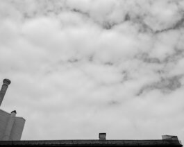 ALEXANDER ROSENKRANZ