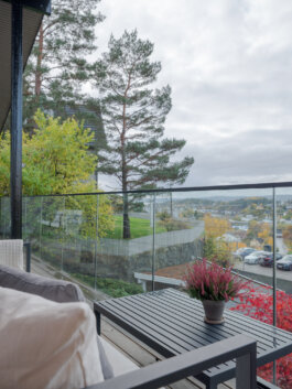 ALEXANDER ROSENKRANZ