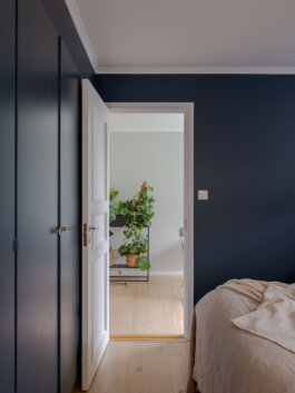 ALEXANDER ROSENKRANZ