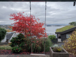 ALEXANDER ROSENKRANZ