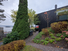 ALEXANDER ROSENKRANZ