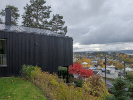 ALEXANDER ROSENKRANZ