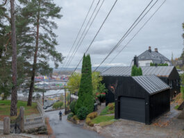 ALEXANDER ROSENKRANZ