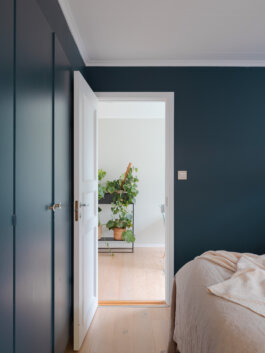 ALEXANDER ROSENKRANZ