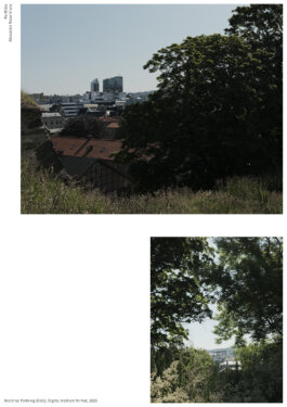 ALEXANDER ROSENKRANZ