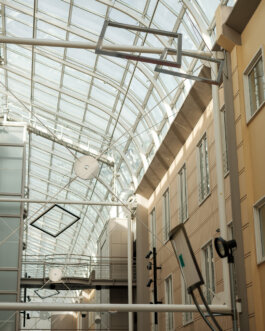 ALEXANDER ROSENKRANZ