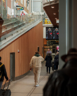 ALEXANDER ROSENKRANZ