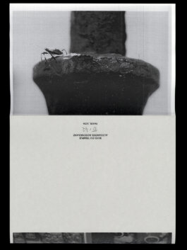 ALEXANDER ROSENKRANZ