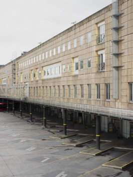 ALEXANDER ROSENKRANZ