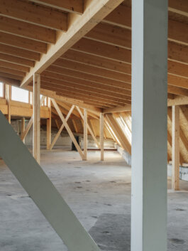 ALEXANDER ROSENKRANZ