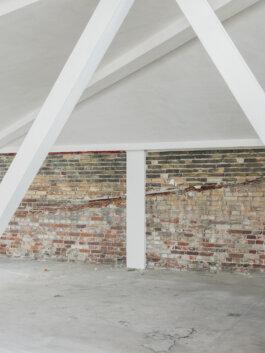 ALEXANDER ROSENKRANZ