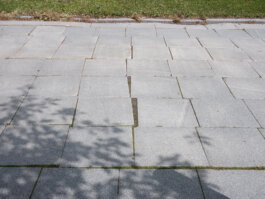 ALEXANDER ROSENKRANZ