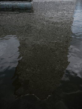 ALEXANDER ROSENKRANZ