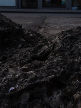 ALEXANDER ROSENKRANZ