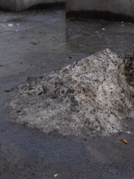 ALEXANDER ROSENKRANZ