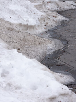 ALEXANDER ROSENKRANZ