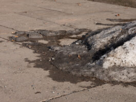 ALEXANDER ROSENKRANZ