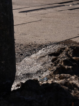 ALEXANDER ROSENKRANZ