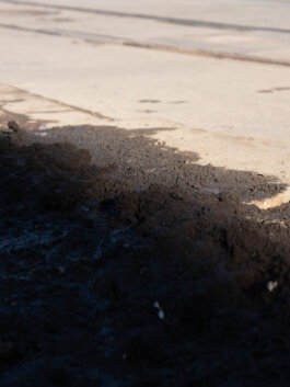 ALEXANDER ROSENKRANZ