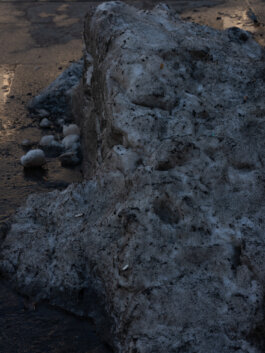 ALEXANDER ROSENKRANZ