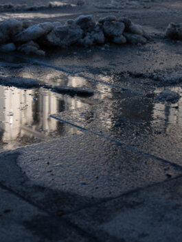 ALEXANDER ROSENKRANZ