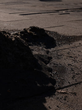 ALEXANDER ROSENKRANZ