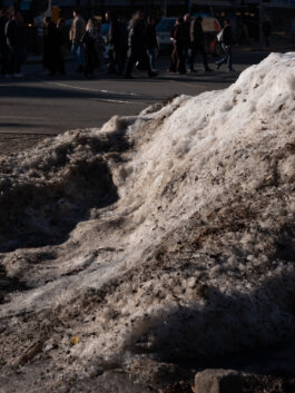 ALEXANDER ROSENKRANZ